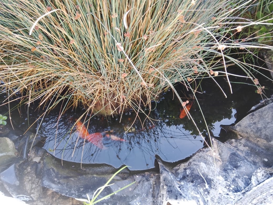 4 Bedroom Property for Sale in Lamberts Bay Western Cape